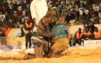 [Photos] Gouye Gui s'abat sur Ness, Abdou Diouf humilie Thieck