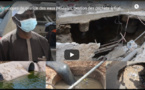Problématiques de gestion des eaux pluviales, gestion des déchets à Guédiawaye et Pikine: Ababacar Mbaye, Dg de l'Onas, rassure