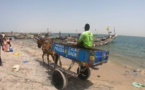 Djiffer, à la découverte du carrefour des pêcheurs