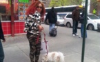 Amina Poté et son caniche en promenade