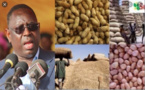 Campagne de commercialisation arachidière: 564 415 tonnes collectées en 98 jours, pour un montant de 170 milliards FCfa