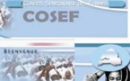 Le Cosef veut que la date du 14 mai soit déclarée Journée nationale de la parité