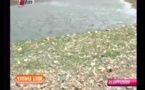 Journal matinal du jeudi 16 Mai 2013 (TFM)