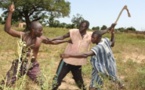 Alerte au Waalo : Vive tension notée entre paysans et éleveurs