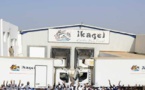 Pour motif économique :  Soixante-dix-huit employés d’Ikagel licenciés réclament leur droits