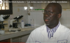 Vrai ou Faux / Pr. Tandakha Ndiaye Dièye: “Les autres vaccins ont des effets secondaires comme AstraZeneca”
