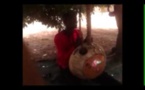 (Regardez) Chanté par son  griot, Mamadou Lamine Massaly esquisse des pas de danse au rythme de la Kora