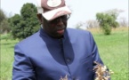 L’interview intégrale : Macky Sall présente son bilan