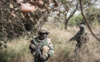 Casamance: Deux postes de contrôle du MFDC détruits par l'Armée