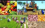 Campagne agricole 2021-2022: Macky Sall satisfait du déroulement
