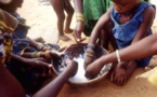 Bambey : Caritas lutte contre la malnutrition