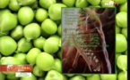 Journal de la sante du vendredi 07 juin 2013 (Walf-Tv)