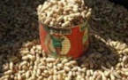 « Bonne campagne » arachidière: Pourtant, faute de graines, 2 000 saisonniers risquent de perdre leurs emplois fin mai