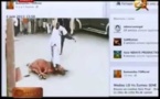 [Regardez!] Tapha Tine s'insurge contre le boeuf égorgé et renvoie la balle à Balla Gaye 2