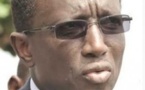 Micmacs fonciers à Bambilor : Le Fisc épingle Ndiagne Fall pour un milliard et freine le beau-père de Macky
