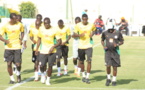 En route pour Brésil 2014 : Les Lions reprennent le chemin des entraînements
