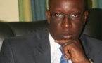 Mamadou Camara, PCA de l’Ancar, candidat au poste de maire de Fatick