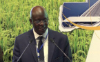 Nomination: Le Sénégalais Mouhamadou Maouloud Diakhaté nommé à la tête du Conseil d’administration de SDSN Sahel