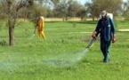 Une application des lois sur les pesticides réclamée lors d'un atelier à Thiès
