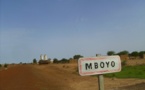 Podor: Des abeilles sèment la terreur au village de Mboyo!