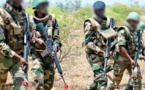 Casamance: Le MFDC tue un indicateur des Eaux et Forêts