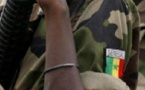 Sécurité / Défis de la région frontalière de Kédougou: Timbuktu Institute met en garde l’État