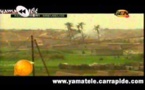 “Sama Gokh” du Samedi 06 Juillet 2013