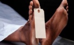 Commune de Dialambere / Arrestation du chef de village: Un exploitant forestier battu à mort