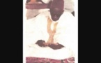 Causerie El Hadji Ibrahima Sakho (7ème partie)