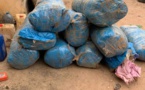 Diouloulou: La Gendarmerie arrête deux trafiquants avec 273 kg de yamba et...