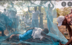 Paludisme: Le Sénégal enregistre en 2020, une hausse de 25% de cas