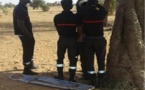 Taïba Ndiaye: Doudou Kâ, 19 ans, retrouvé mort, pendu à un arbre