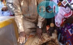 Macky Sall friand de poisson fumé ?