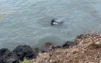 Son petit ami lui donne son véhicule: Elle termine sa course dans la mer et...
