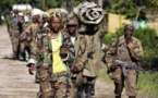 Casamance: 14 rebelles désertent le maquis