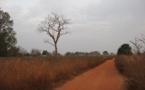 Mbacké : 13 villages bénéficient de latrines