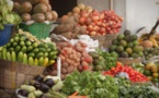Kaolack/ Commercialisation des produits agricoles: Une nécessité de redynamiser le cadre national, évoquée