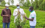 Agriculture: "Des productions record enregistrées" (Abdoulaye Daouda Diallo)
