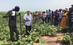 Domaines agricoles communautaires: Leur importance mise en exergue
