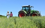Horrible fin de deux femmes migrantes: Endormies dans un champ, elles meurent écrasées par un tracteur