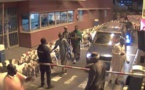  Autoroute à péage: Un troupeau de moutons de Farba Ngom en divagation, signalé