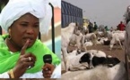 Tabaski 2013 : 720 000 moutons attendus, aucune garantie sur les prix