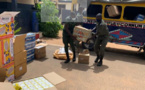 Saisie de faux médicaments d’une valeur de plus de 46 millions FCfa, dans un car rapide à Mbao