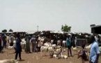 Insécurité, manque d’eau au foirail de Diourbel: Les principales préoccupations des éleveurs
