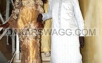 [Exclusif] Les images du mariage de Ndèye Maguette Mboup, fille de Serigne Mboup PDG CCBM