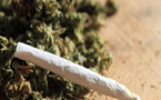 L’artiste A. D. arrêté pour trafic de drogue : il détenait 1 kilo et 10 cornets de chanvre indien