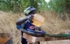 Fermeture du site d’orpaillage de Diyabougou : La fin de l’or sonne la faim