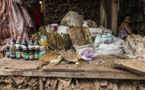 Médecine Traditionnelle: L’État du Sénégal apprécie à sa juste valeur la participation de ses praticiens