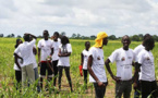 34% des terres du Sénégal dégradées : Leur restauration, des opportunités d’emplois pour les jeunes’