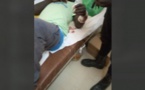 Touba: Un commerçant attaqué et agressé, envoyé aux urgences.